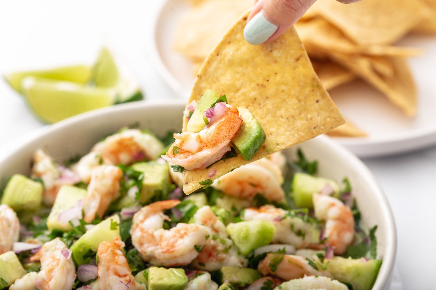 Tortilla chip dipped into shrimp ceviche.