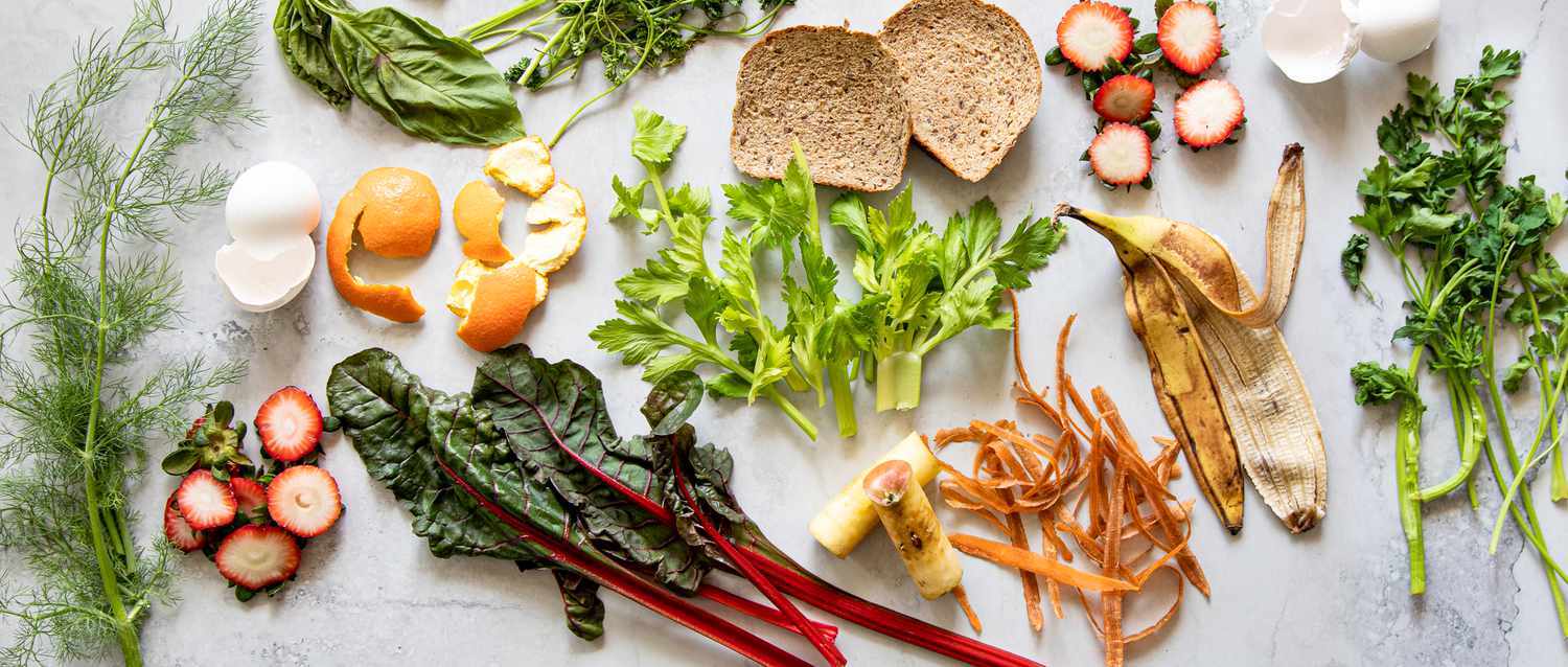 Food Scraps