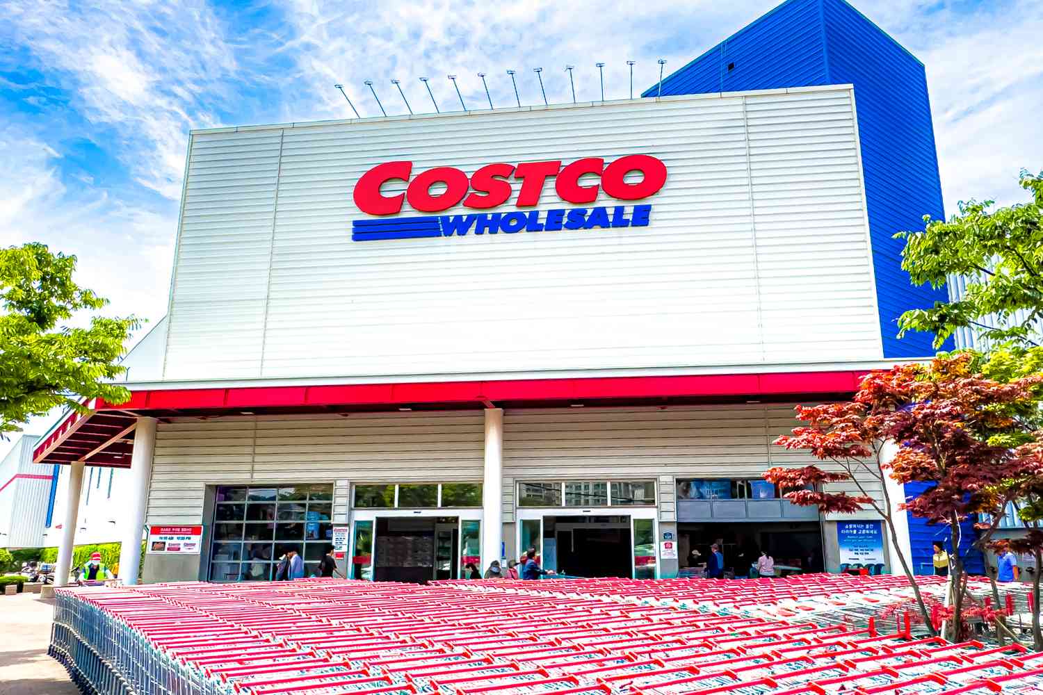 The front of a Costco Wholesale store with shopping carts visible
