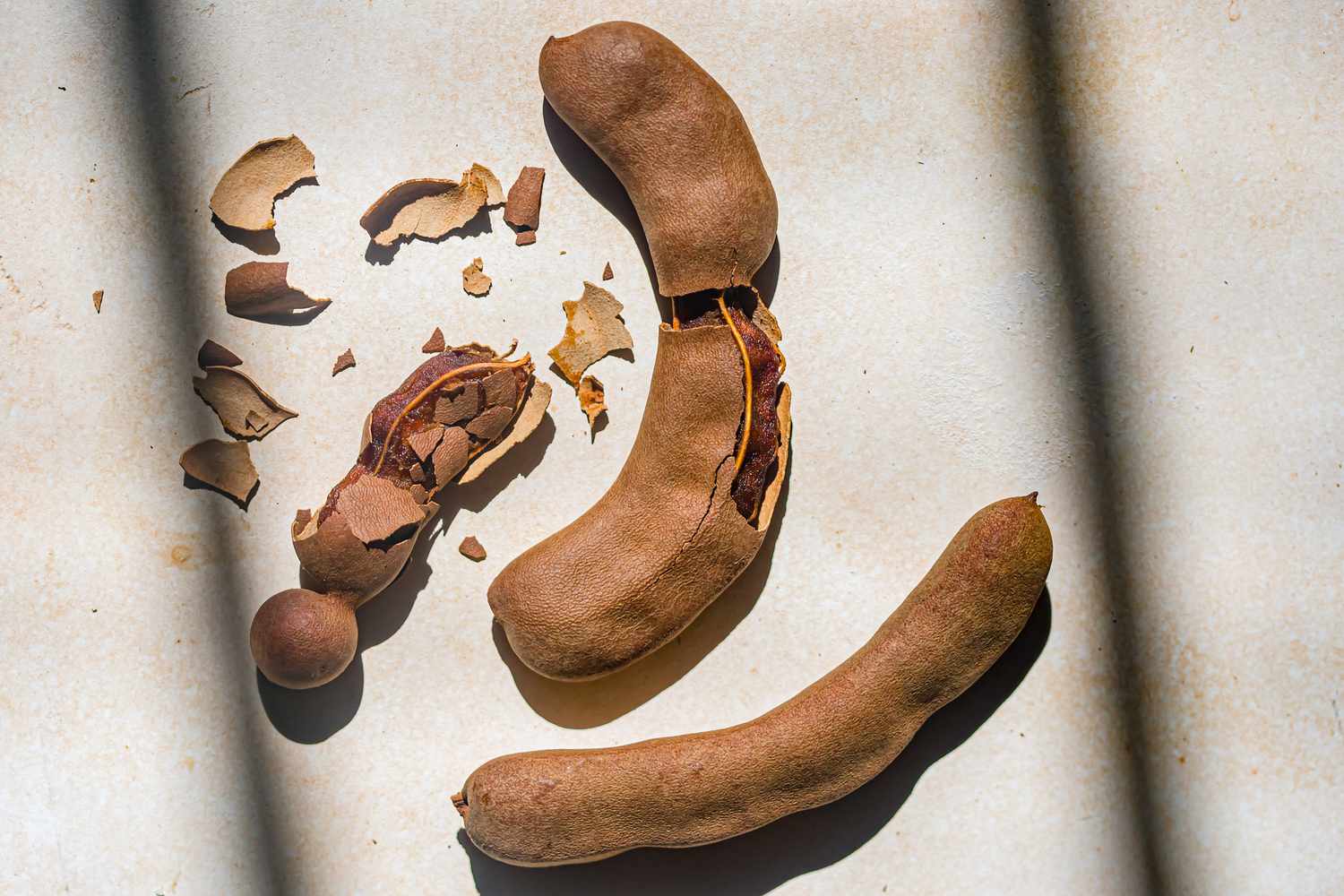 Tamarind