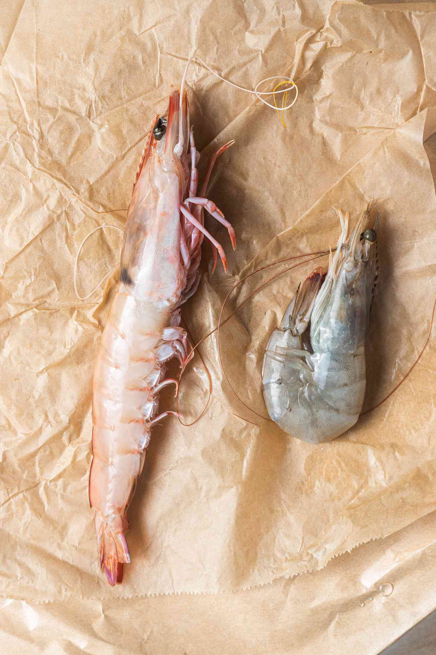 Prawns vs Shrimp on Textured Parchment Paper