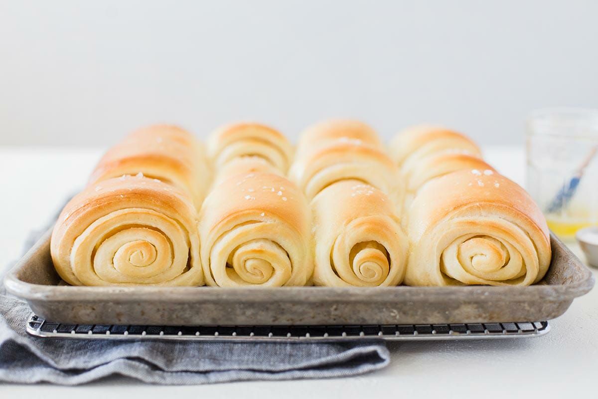 Side view of a tray of lion house rolls