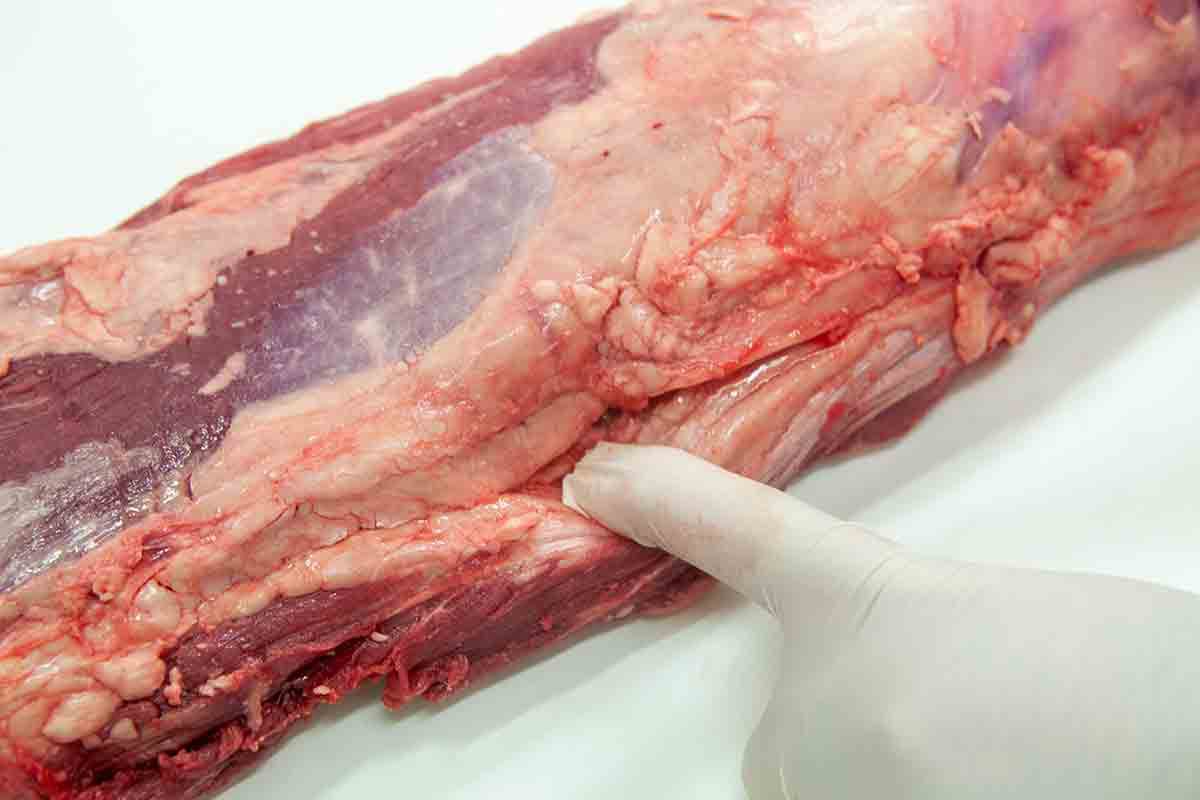 Beef Tenderloin Chain