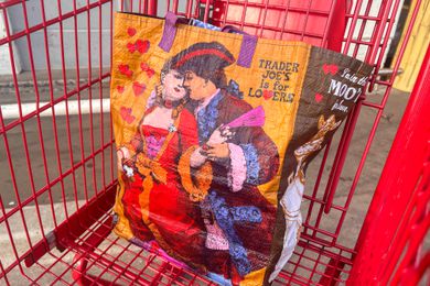 Trader Joe's bag in cart