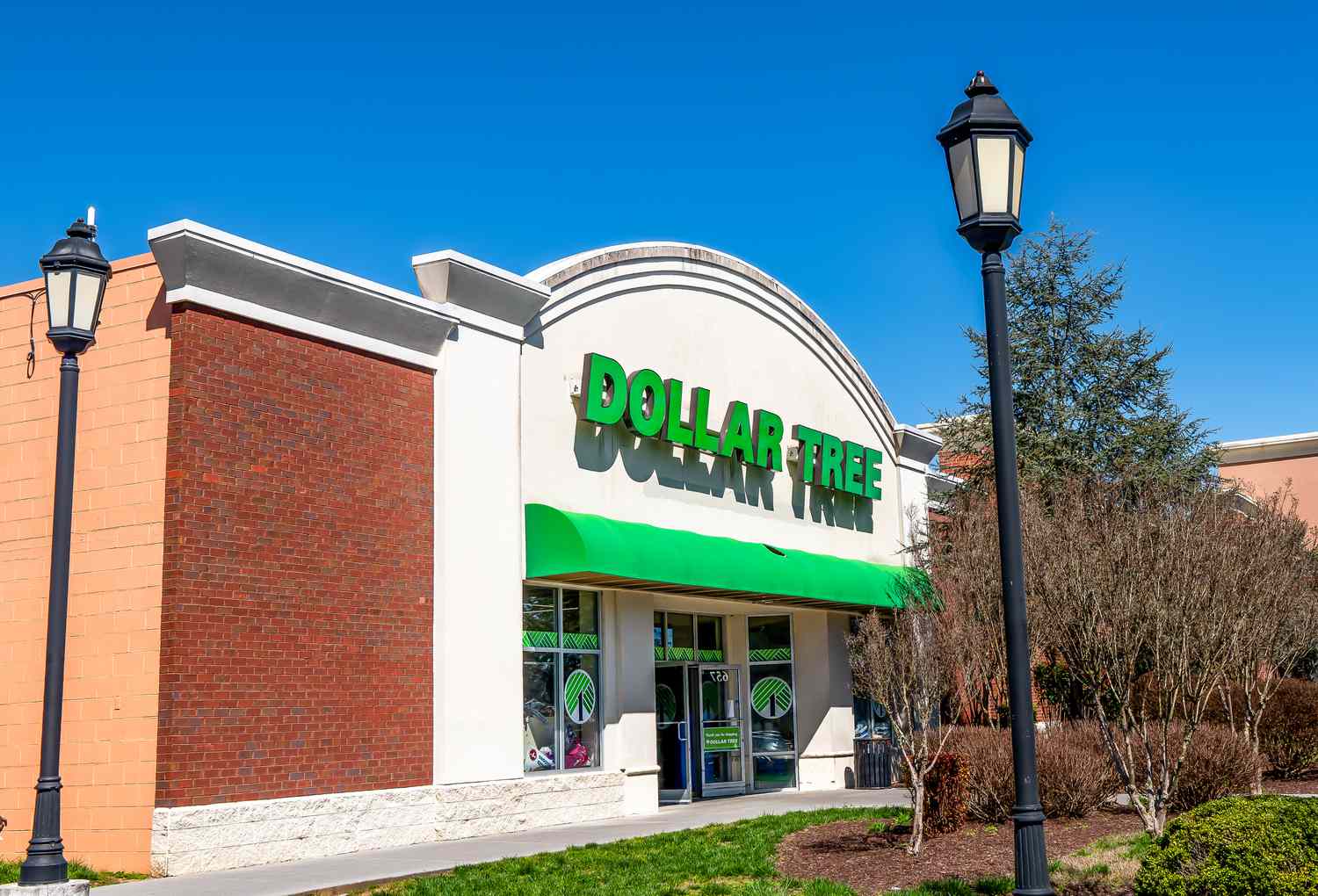 The outside view of a Dollar Tree store