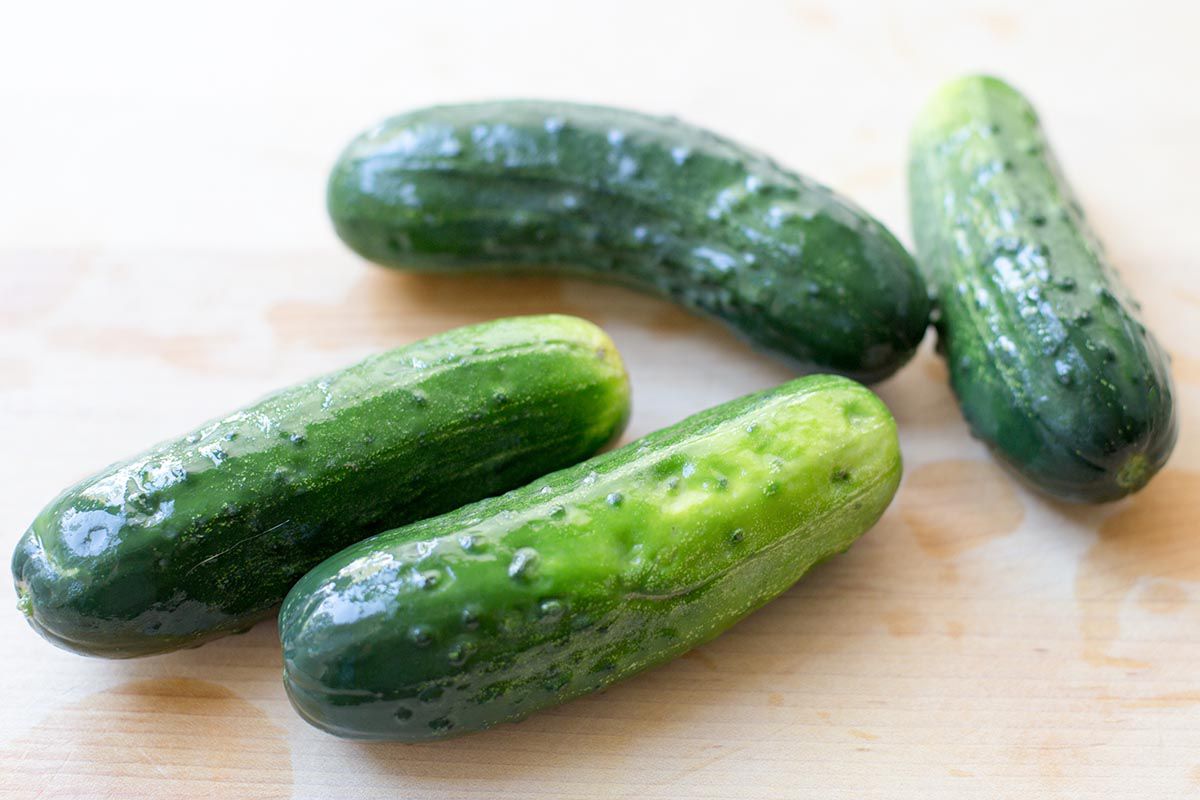 Small Kirby cucumbers with bumpy skins make the best homemade pickles