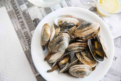 New England Steamers or soft shell steamed clams in a white bowl with melted butter on the side
