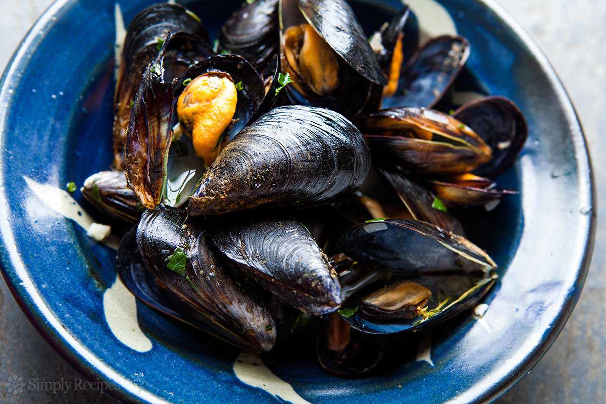 mussels in white wine sauce