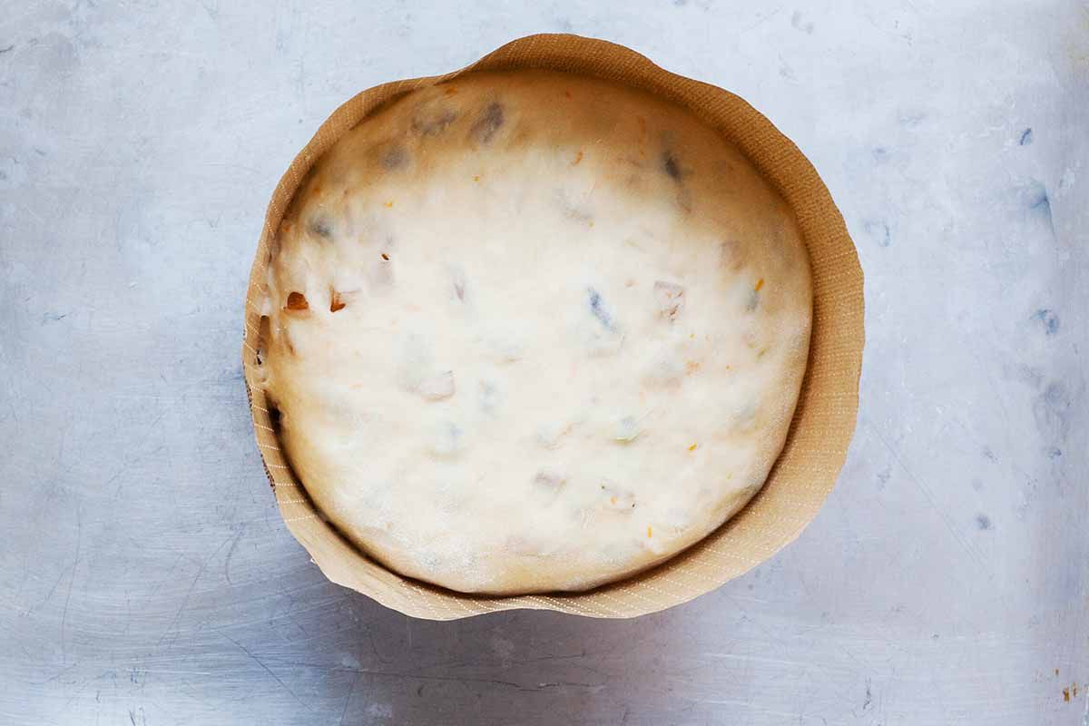Italian Christmas bread ready to rise in a paper panettone mold.