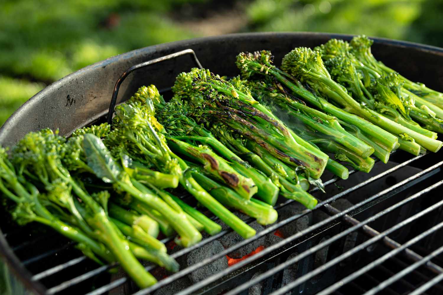 Broccolini on Grill for Grilled Broccolini with Lemon Tahini Dressing