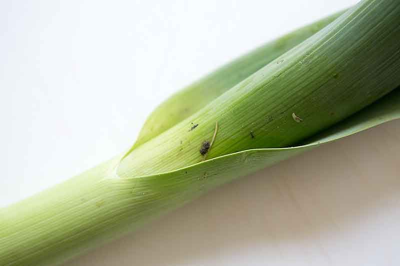 leeks are dirty