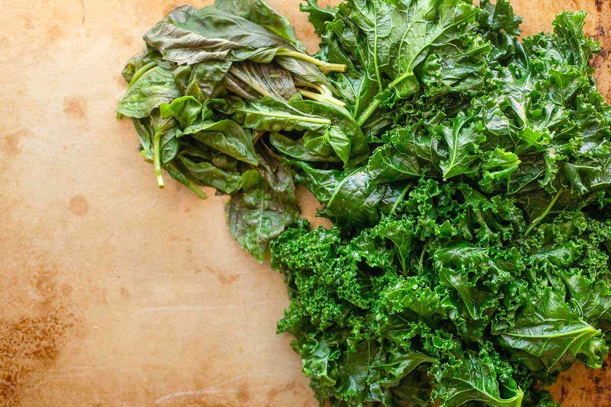 Blanched kale and basil piled on a baking sheet.