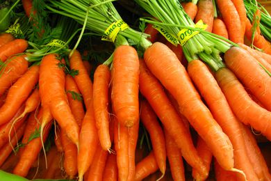 A bunch of fresh carrots with green tops, tied in bundles and laid out for display