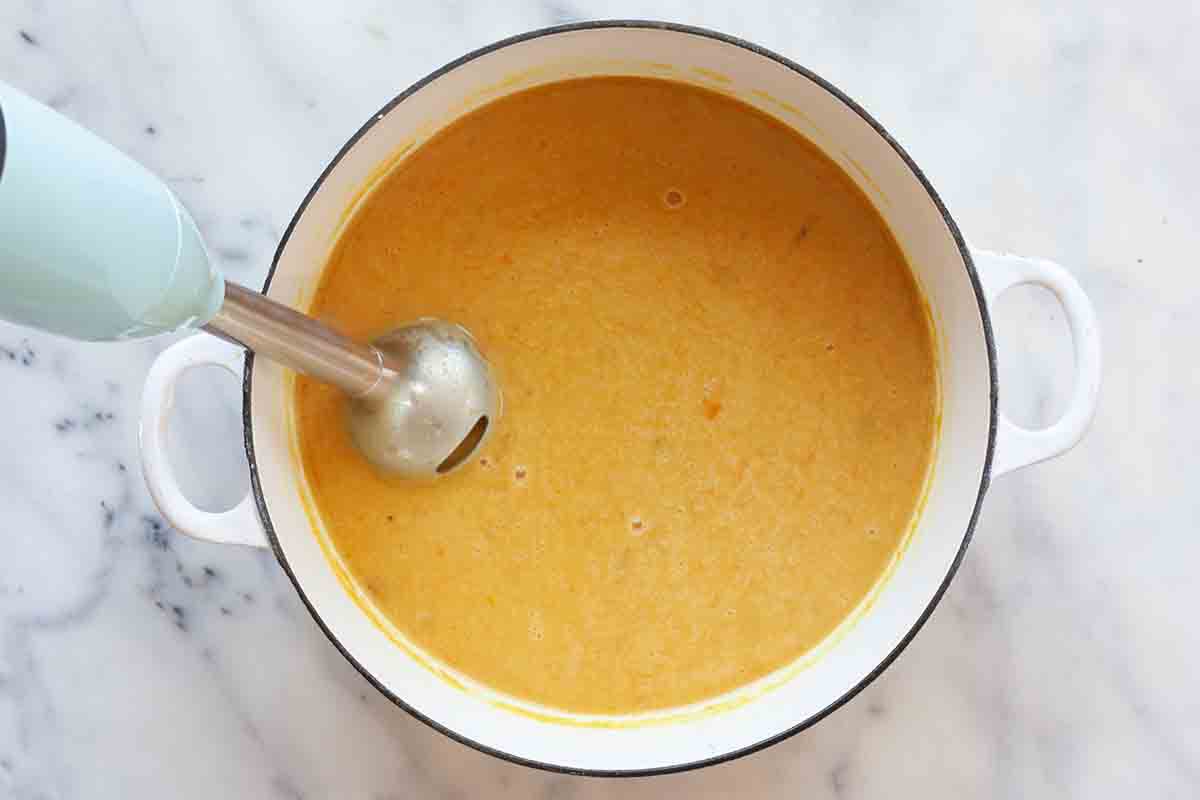 Chicken Stew Recipe add the pureed veggies