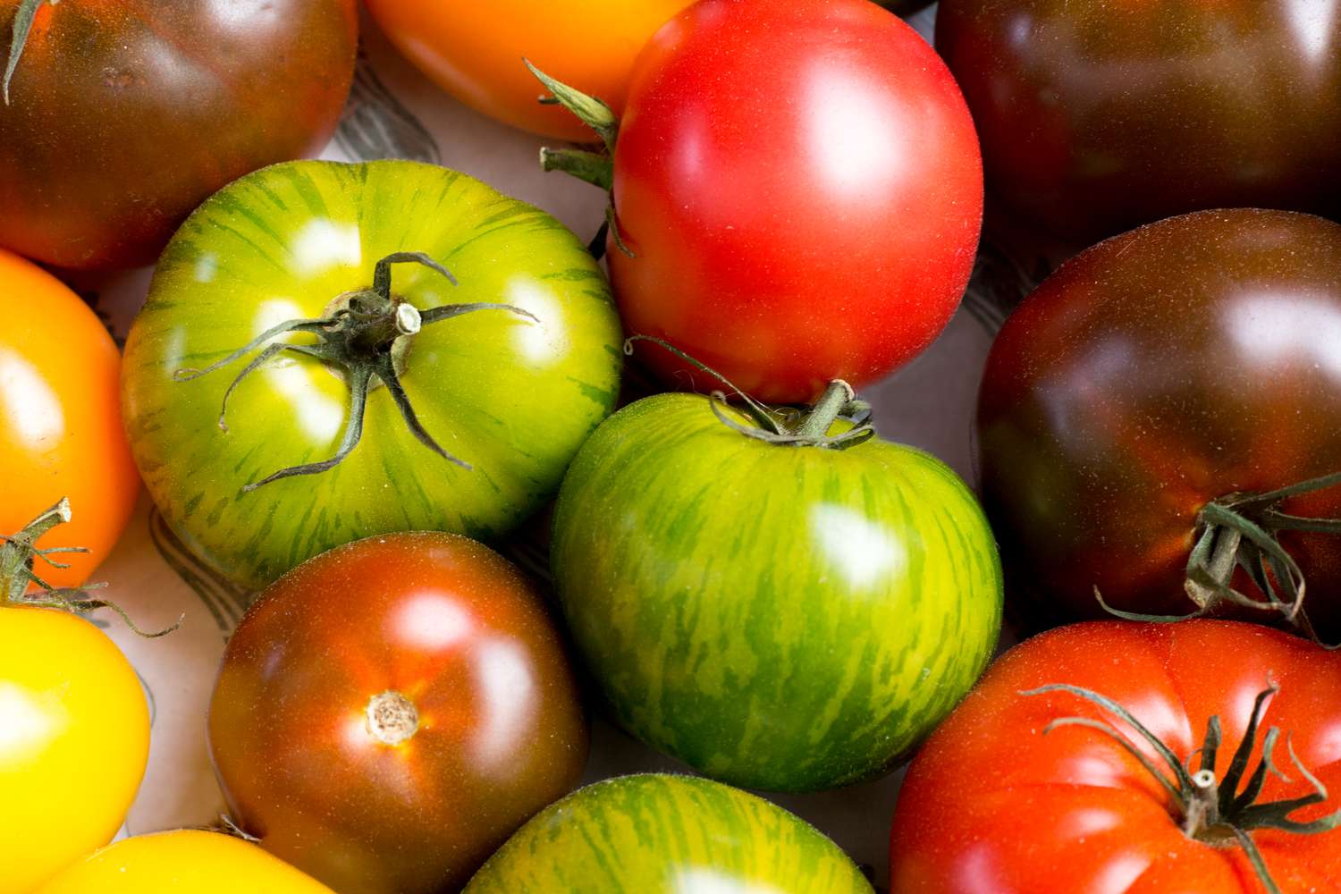 heirloom tomatoes on the counter