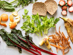 Food Scraps