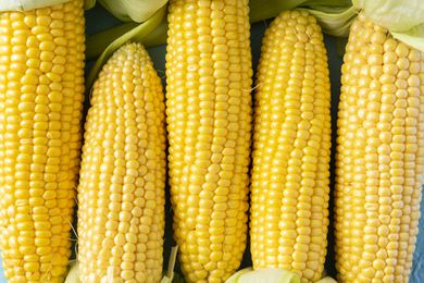 husked corn (husks still attached to the base of the corn)
