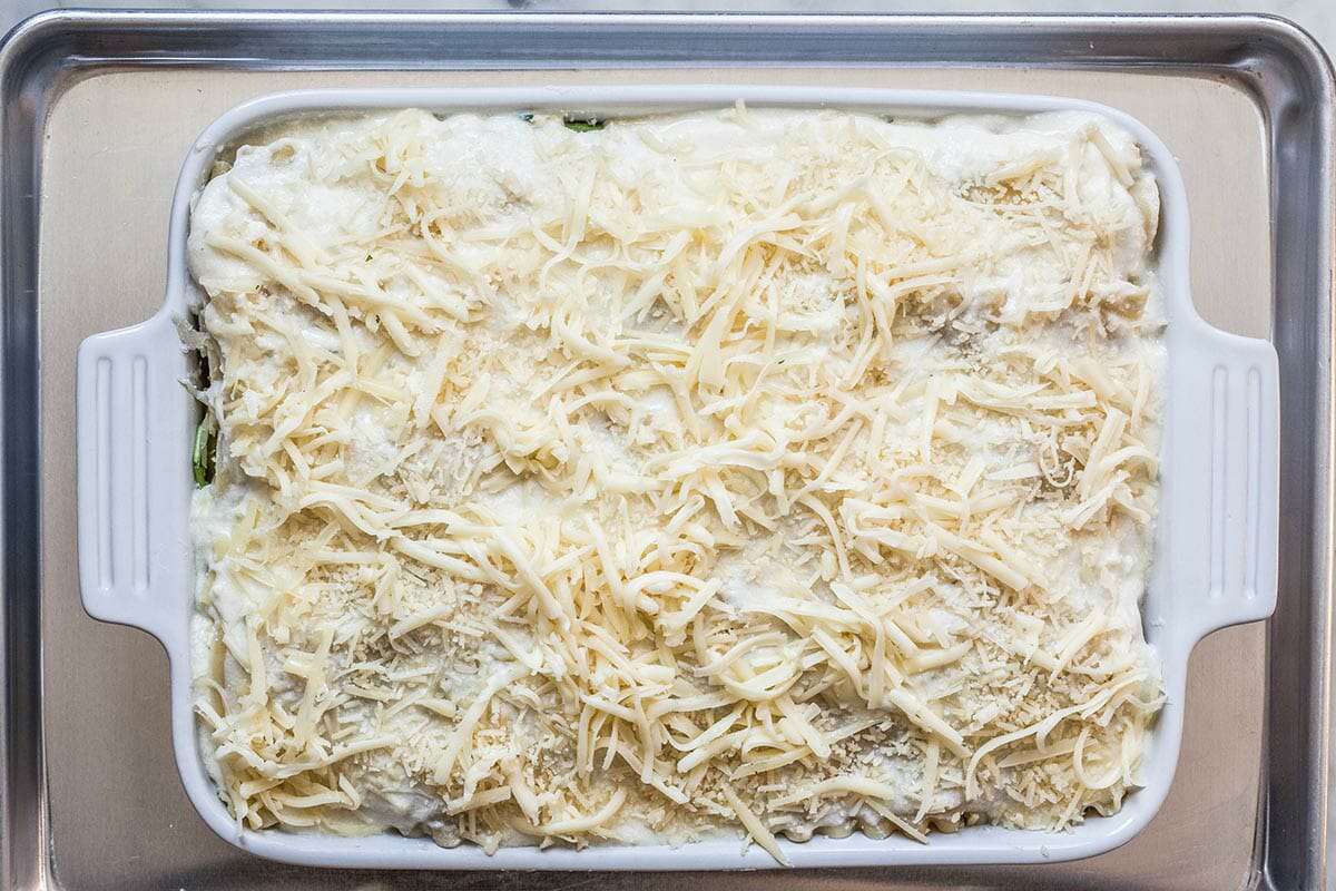 Roasted Butternut Squash Lasagna add the parm and fontina