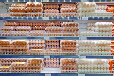 Eggs in fridge