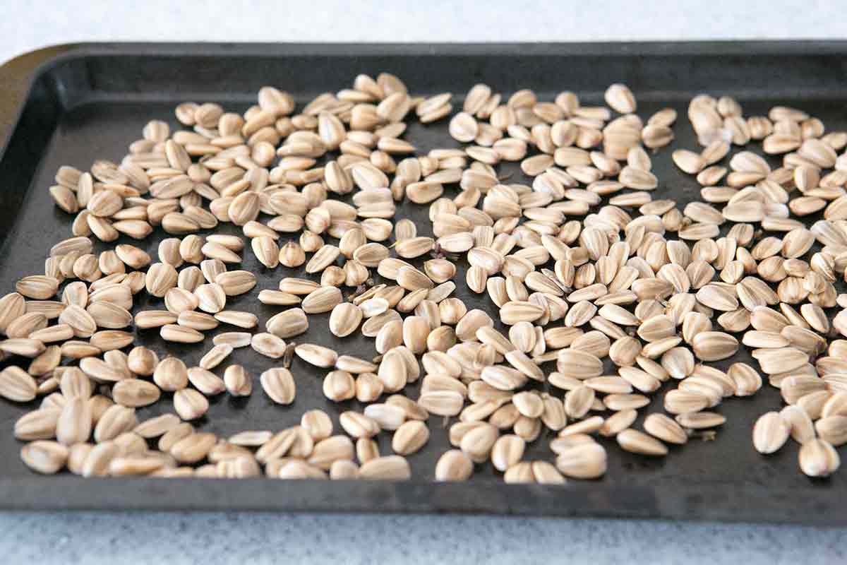 roasted-sunflower-seeds-method-3