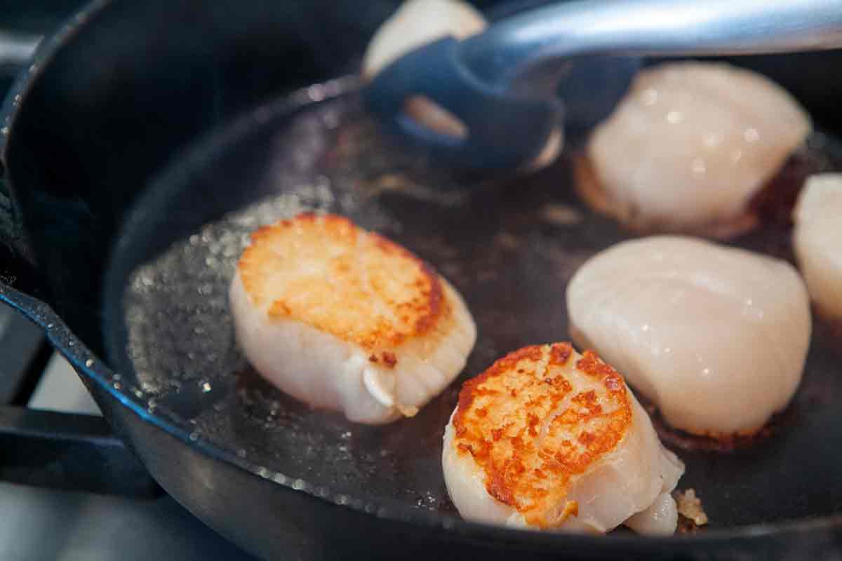 Sear scallops in a hot pan