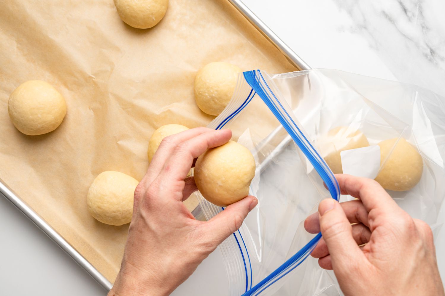Frozen Dinner Rolls in zip top bag