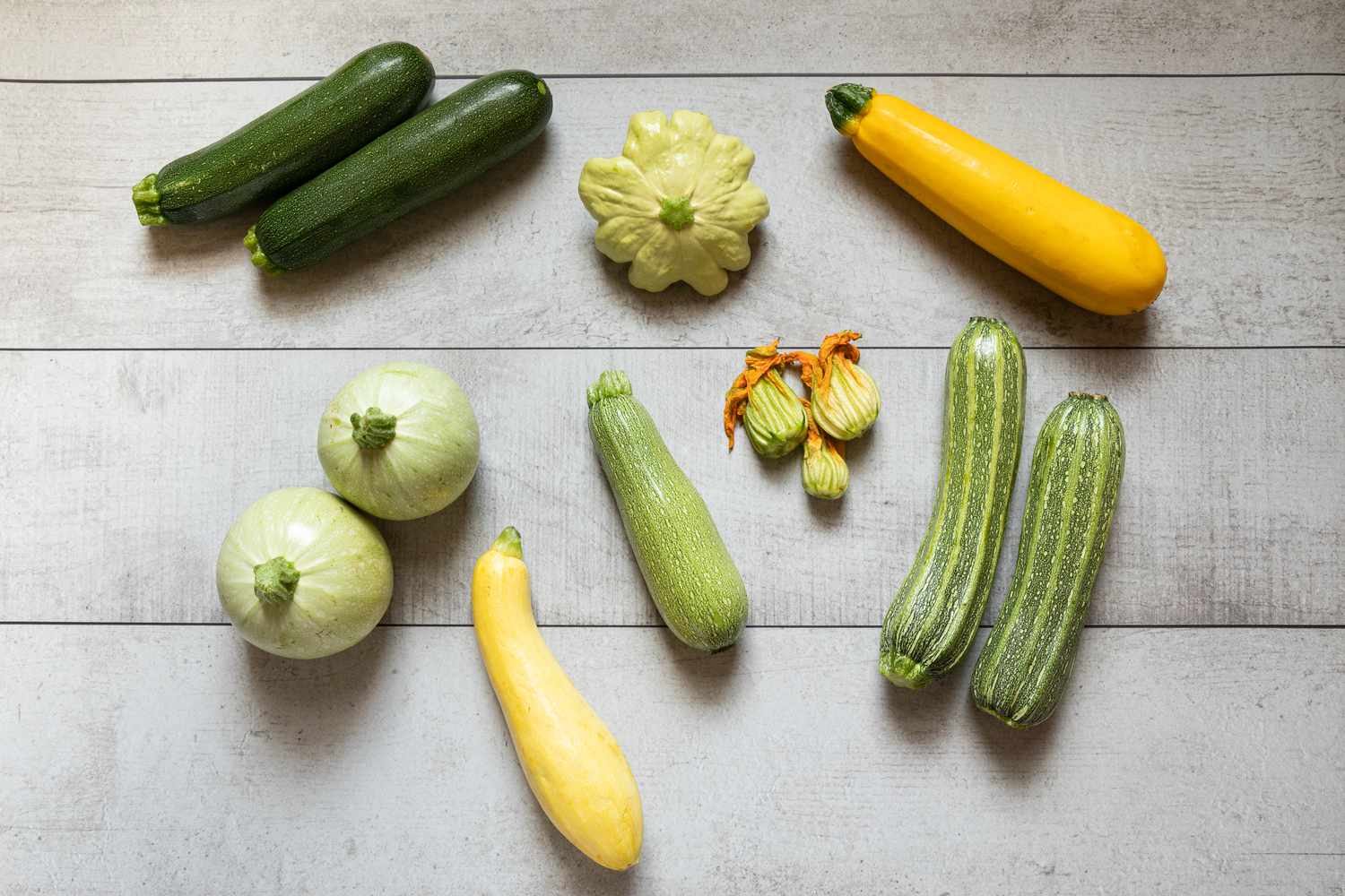 Squash varieties