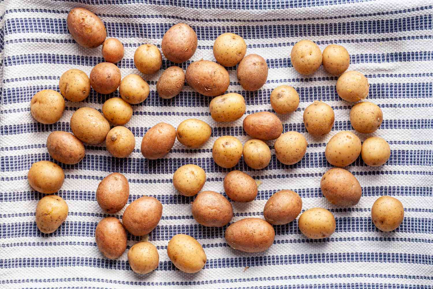 Boiled Potatoes Drying on a Kitchen Towel for Smashed Potatoes Recipe