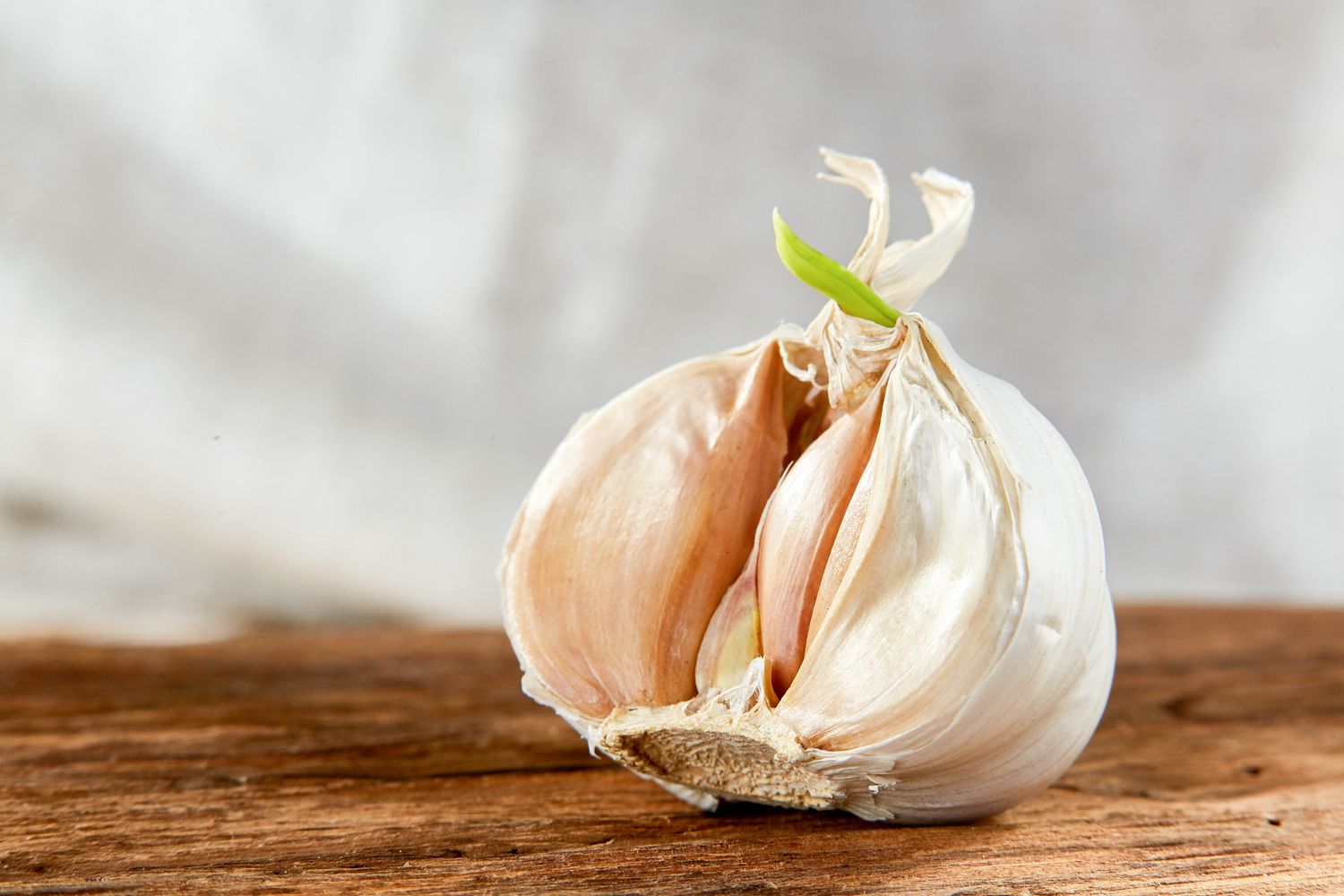 Sprouted Garlic on a brown table