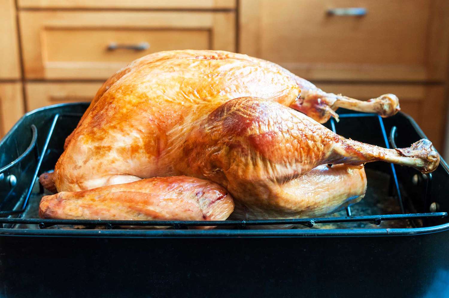 A whole Roast Turkey on a roasting rack in a roasting pan