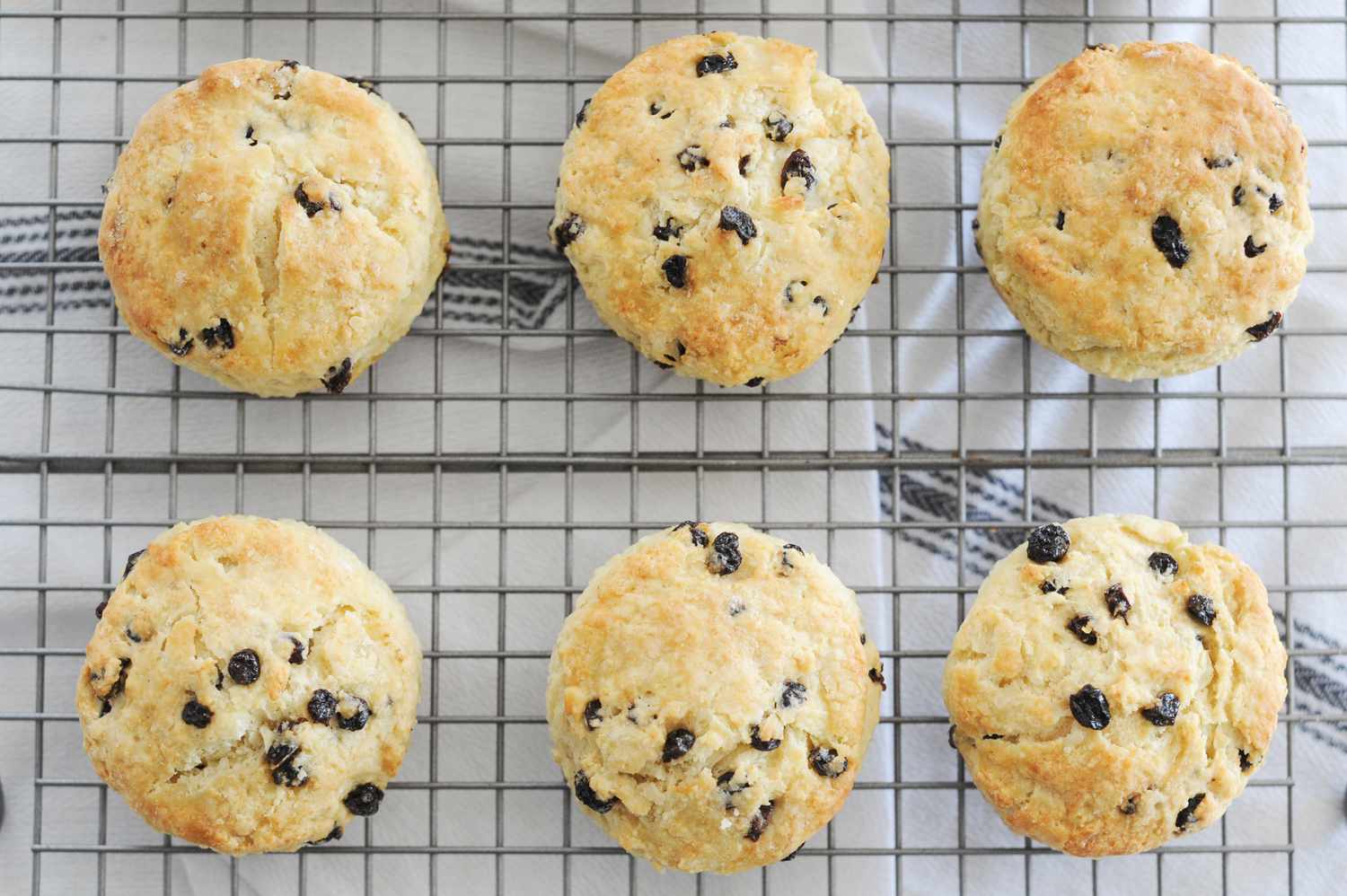 Irish Scones with Dried Currants cooling on a rack.